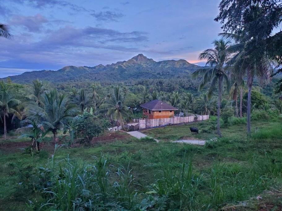 Вілла Modern Bahay Kubo In A Farm Near Tagaytay Tagaytay City Екстер'єр фото